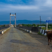 Georgia 20110601 009