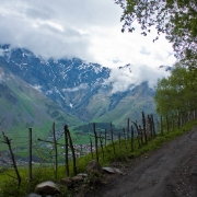 Georgia 20110605 014