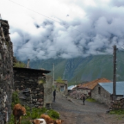 Georgia 20110605 016