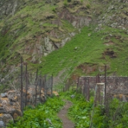 Georgia 20110605 017